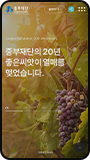 모바일뷰 이미지